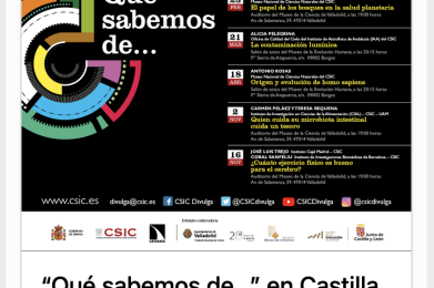 Captura de pantalla 2023-03-14 a las 19.12.56