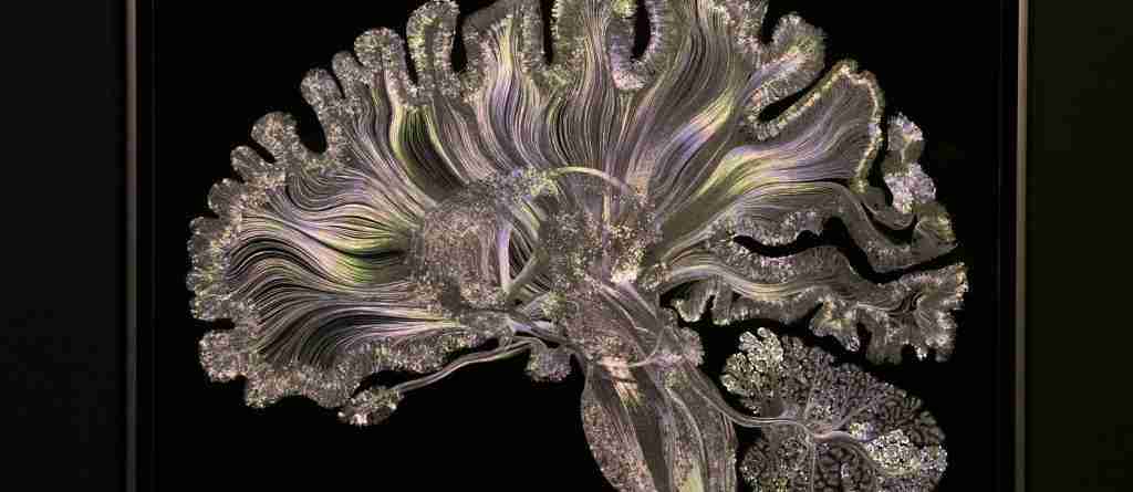 DIBUJAR EL CEREBRO. ENCUENTRO CIENTÍFICO