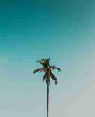 Pint23ES: Hibridación, perspectiva e insularidad