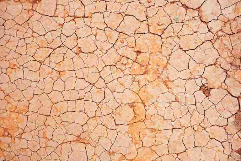 Pint23ES: In science we trust