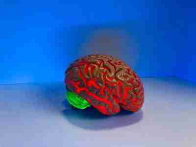 Pint23ES: ¿Qué hace nuestro cerebro?