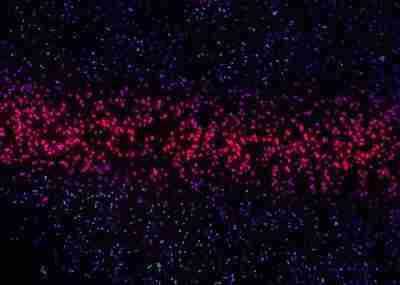 Pint23ES: Sobre desafíos éticos y etílicos