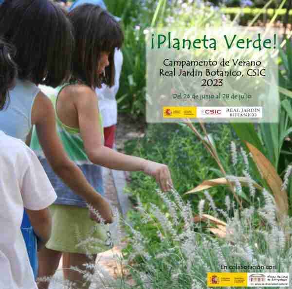 CAMPAMENTO DE VERANO RJB 2023: ¡PLANETA VERDE!